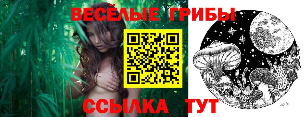 Псилоцибиновые грибы Psilocybine cubensis Корсаков